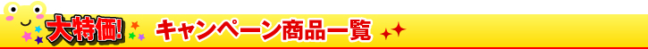 大特価！キャンペーン商品一覧